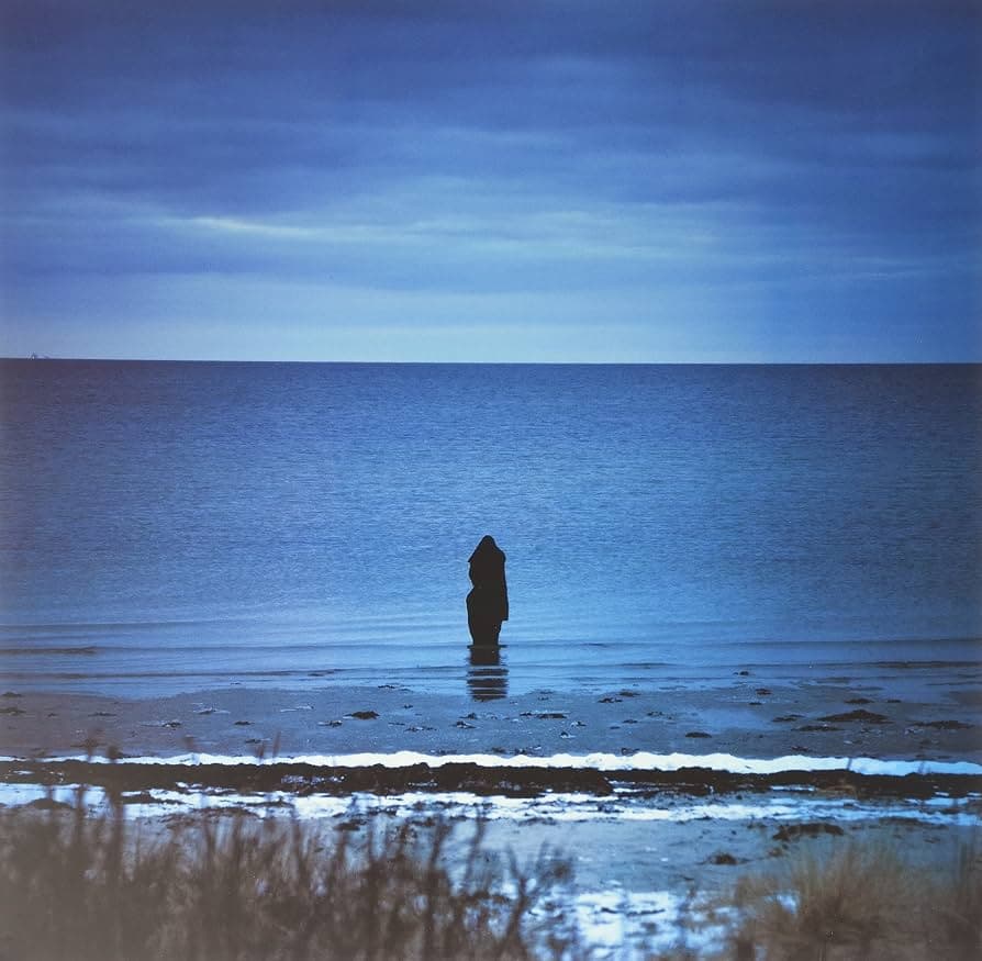 Catalogue / Preserve / Amass